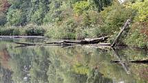 Vodní systém na Černovickém potoce mezi brněnskými Holáskami a Ivanovicemi tvoří sedm jezer a tři umělé nádrže.
