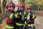 Jihomoravští hasiči zachránili v brněnské Bystrci káně.