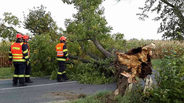 Následky silného větru na jižní Moravě.