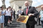 Střecha jihomoravského krajského úřadu má od pátečního rána nové nájemníky. Ve třech úlech se tam zabydlely desítky tisíc včel.