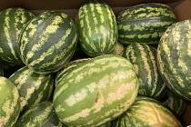 Dovozové melouny v supermarketech jsou až o polovinu levnější oproti těm od lokálních farmářů.