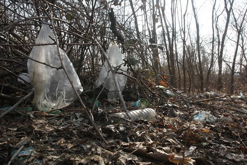 Poházené plastové lahve a plechovky v parcích, černé skládky v lese nebo krabice od vína u řeky. Nepořádek, který hyzdí veřejný prostor, se 8. dubna už počtvrté vydají Brňané uklidit. Startuje akce s názvem Ukliďme Česko.