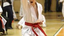 V Brně se konal Hausnerův národní putovní pohár v karate.