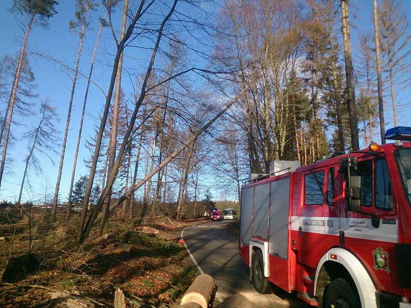 Výsledky pondělního řádění orkánu Sabine na jižní Moravě, u kterých zasahovali krajští hasiči.