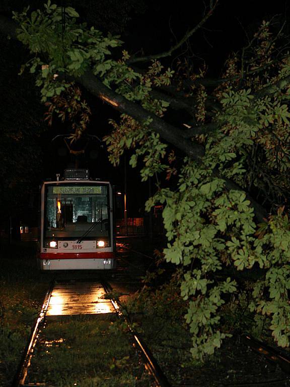 Následky středeční bouřky v Brně.