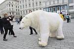 Lední medvěd upozorňoval v Brně na špatnou situaci na Arktidě.