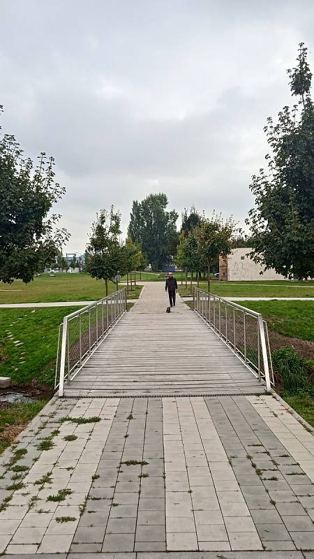 Až do 12. listopadu hlasují Brňané o názvu nového parku v Komárově. Ve hře je pět možností.