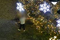 Ozdoby na vánočním stromu na Zelném trhu v Brně upoutaly mladíky.