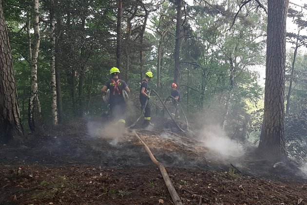 Jihomoravští hasiči bojují s rozsáhlým požárem v národním parku České Švýcarsko.