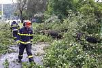 Téměř dvě desítky výjezdů hasičů si vyžádaly páteční bouřky v Jihomoravském kraji.