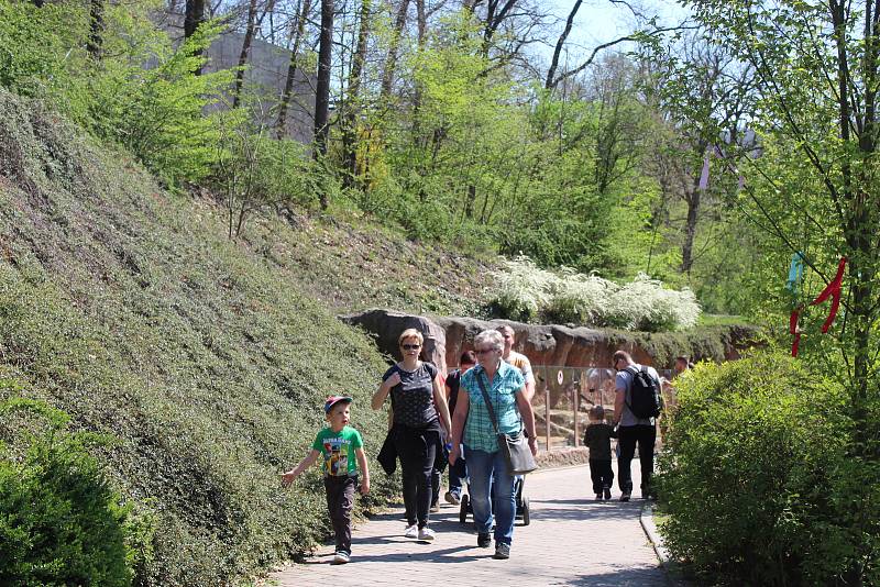 V pátek začal v brněnské zoologické zahradě speciální velikonoční program.