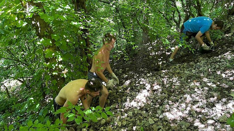 V kritickém stavu je podle členů spolku Pomáháme Pálavě zřícenina gotického hradu Děvičky, která je dominantou Pavlovských vrchů.