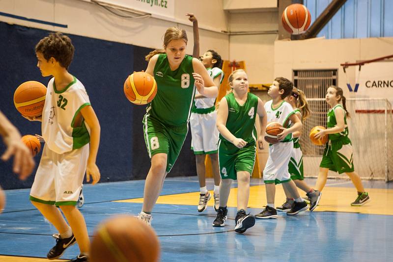 Dohromady devadesát růží v barvách Brna a Sokola Brno I dostal legendární basketbalista Ivo Mrázek, který právě v pondělí oslavil devadesáté narozeniny.