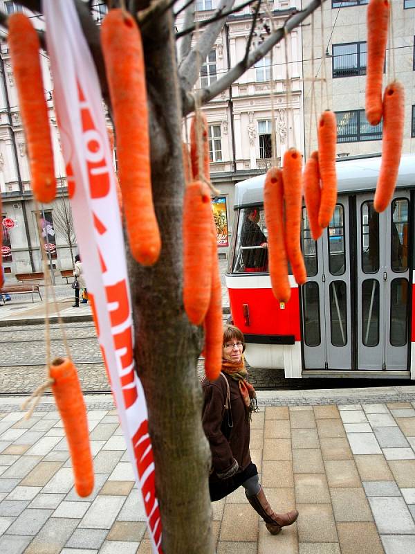 Stromy u brněnského dopravního uzlu Česká obsypalo velké množství mrkví. Na mezinárodní den mrkve je tam rozmístili zástupci brněnské oční kliniky Neovize. 