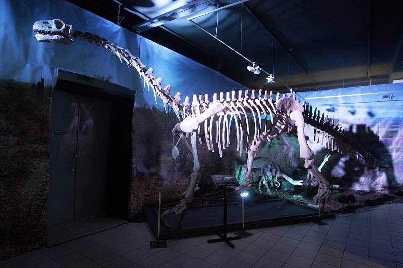 Hýbou se, žvýkají, vydávají zvuky a jsou v životní velikosti. Pohled na bývalé vládce Země si od pondělí užívají lidé v Technickém muzeu v Brně. Výstava robotických dinosaurů potrvá až do patnáctého března příštího roku.