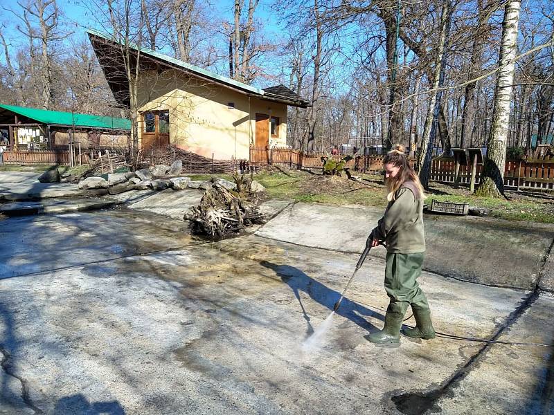 Čištění jezírka ve výbězích hodonínské zoo. Zoologické zahrady nesmí návštěvníky vpustit do vnitřních expozic.