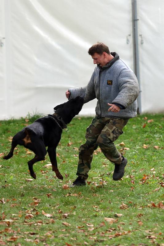 Zážitkový den s městskou policí na brněnské Riviéře