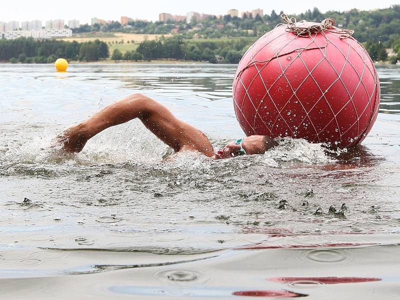 Plavecký maraton na Brněnské přehradě.