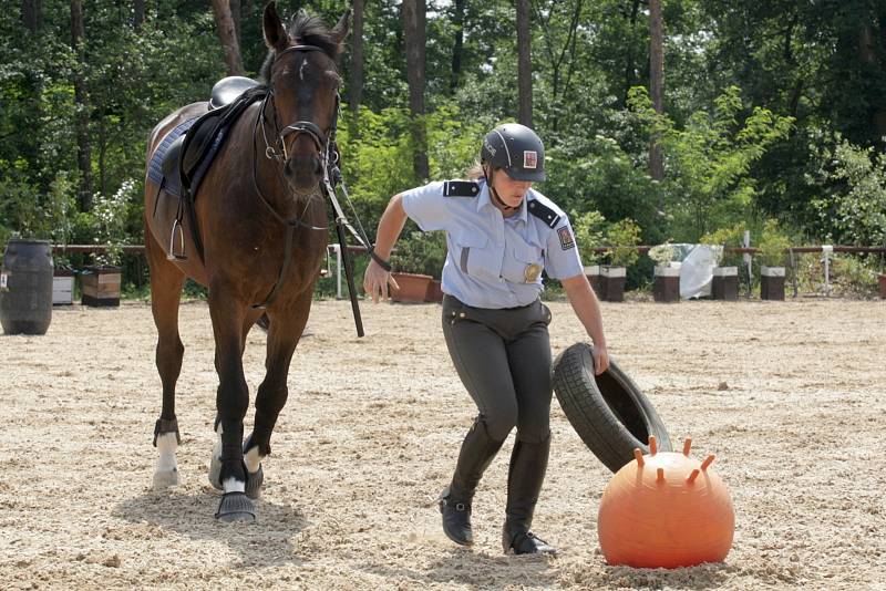 Přehlídku jezdeckých policistů z celé České republiky viděli v sobotu návštěvníci na Mezinárodním policejním mistrovství v jezdectví. V jezdeckém areálu Panská Lícha v brněnské Lesné si zasoutěžili ve skokovém derby nebo třeba policejním parkuru.