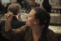 Soutěžící vína hodnotí zkušení degustátoři a enologové, kteří jsou oprávnění hodnotit vína podle norem v celé Evropské unii.