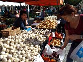 Rosické slavnosti česneku neboli Česnekovky už patří mezi tradiční akce. Letošní ročník začíná v sobotu 11. září v osm hodin ráno farmářským trhem.