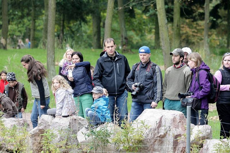 Takzvanou Africkou vesnici si v první hodině přišly prohlédnout stovky návštěvníků.