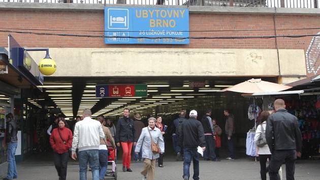 Myší díra v lidech vyvolává rozpor. Voní i páchne - Brněnský deník