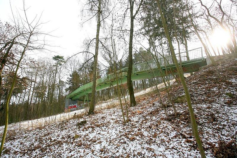 Dříve zanedbaný Wilsonův les teď dává Brno pomalu dopořádku.