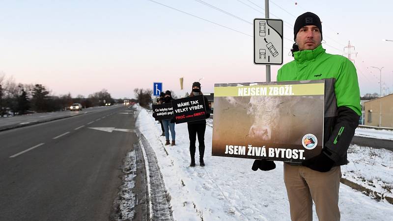 Protest aktivistů skupiny Brno Chicken Save v Modřicích proti zabíjení zvířat.