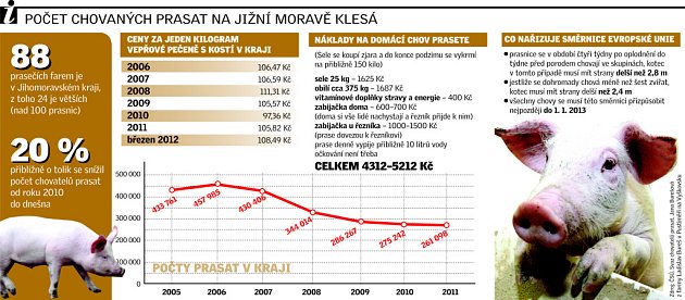 Počet chovaných prasat na jižní Moravě klesá.