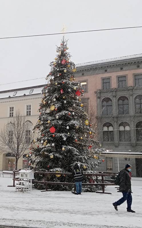 Centrum Brna zasypal sníh. Na snímku vánoční strom náměstí Svobody.