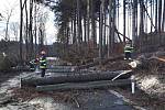 Zásahy hasičů na jihu Moravy kvůli silnému větru.
