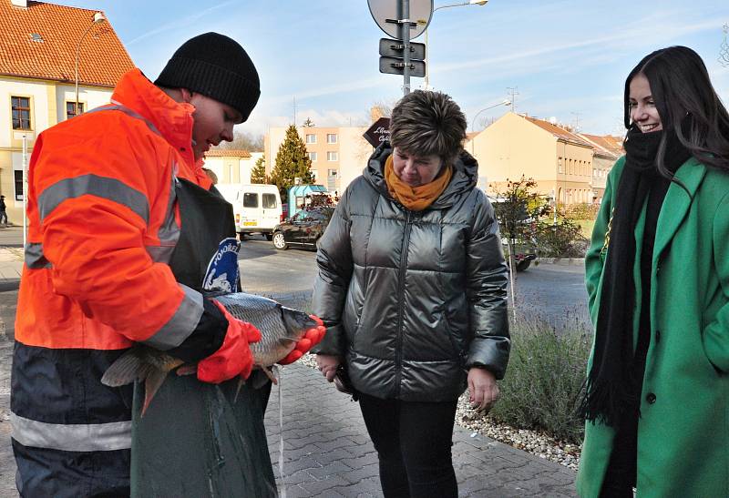 Prodej kaprů na náměstí v Pohořelicích na Brněnsku