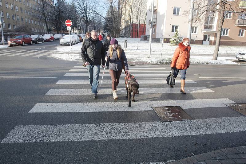 Redaktorka Rovnosti si vyzkoušela, jaké je chodit s vodícím psem.