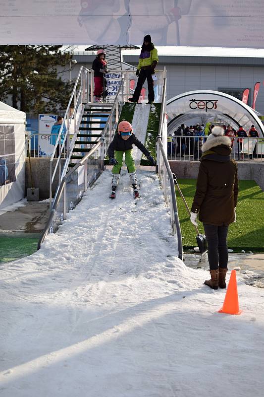 Loňský zimní Olympijský festival v Brně.