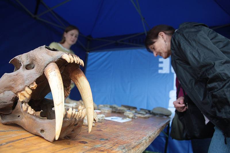 V pátek na brněnské hvězdárně odstartoval Festival vědy.