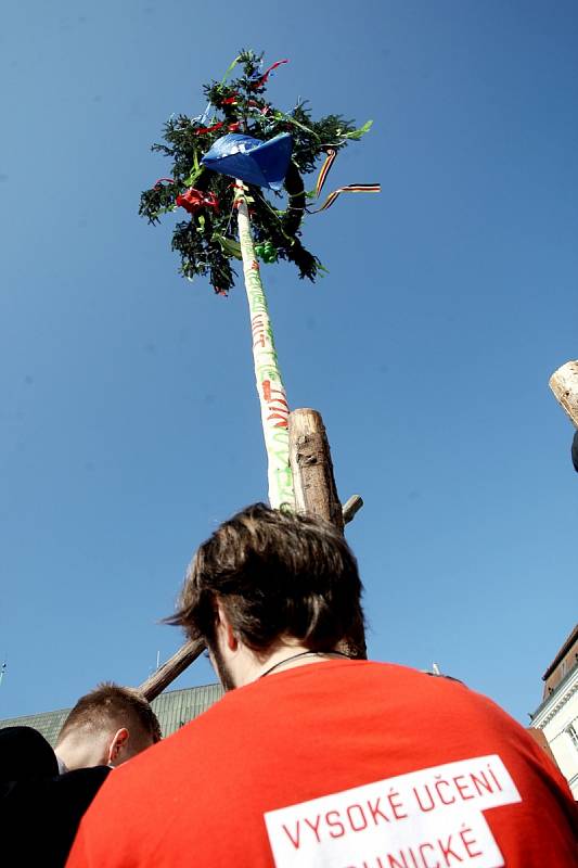 Stavbou tradiční májky zahájili studenti brněnských univerzit majálesové oslavy.