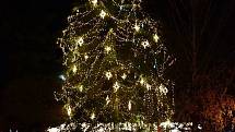 Vánoční strom v Břeclavi.