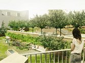 Vizualizace vzhledu Kapucínských zahrad pod Petrovem po opravách. Zahrady zpřístupní v roce 2018.