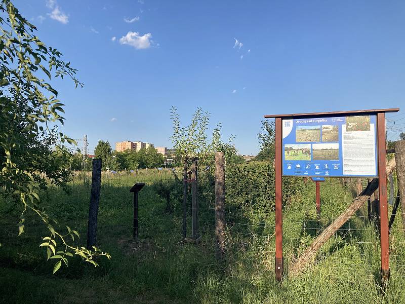 Spory o výstavbu ragbyového hřiště řeší v brněnských Černovicích.
