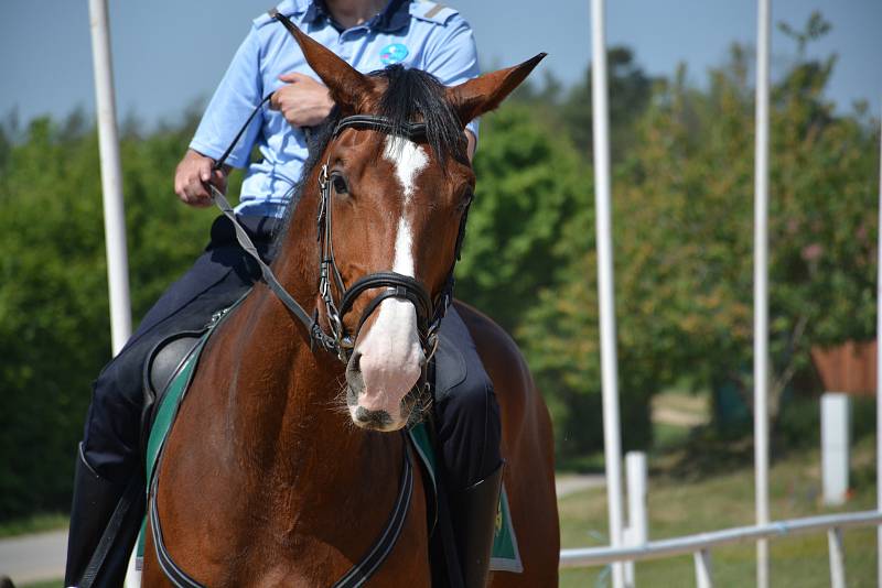 Tradiční Mezinárodní policejní mistrovství v jezdectví se konalo v sobotu v brněnském areálu Panská Lícha.