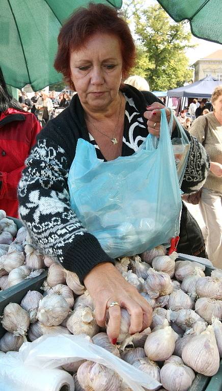 Česnekové slavnosti nenabídly jen pikantní pokrmy, ale i česnek z českých záhonů.