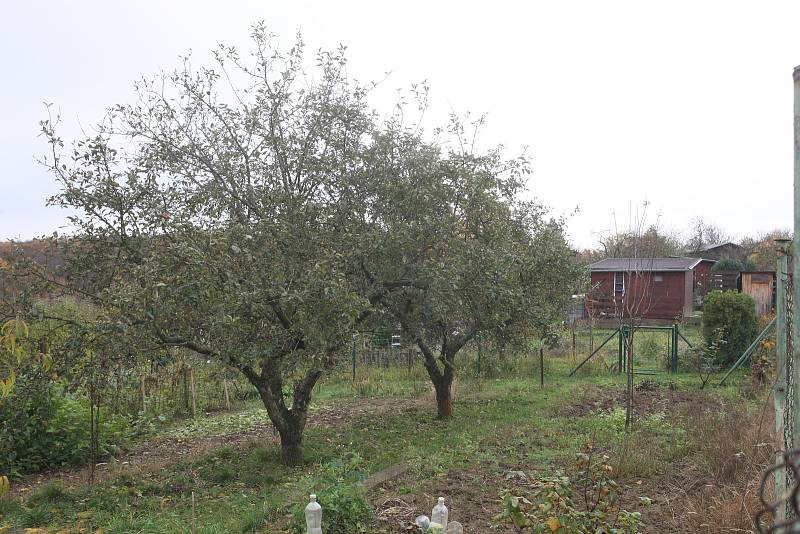 Zahrádkářská kolonie u Šťouračovy ulice v Bystrci.