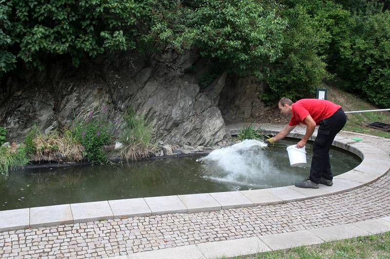 Skalní jezírko na Špilberku.