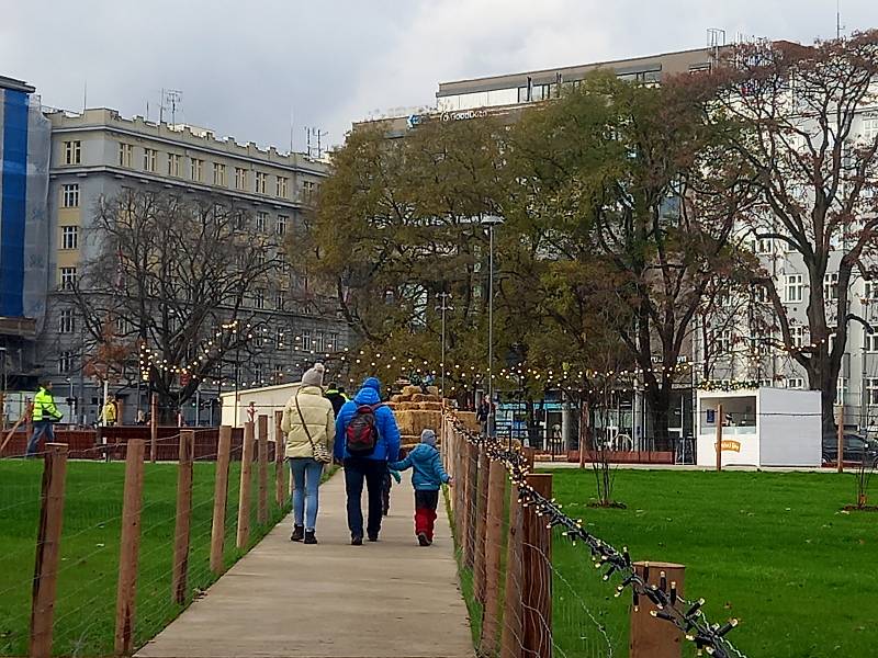 Vyhlídkové kolo na brněnském Moravském náměstí už vozí turisty.