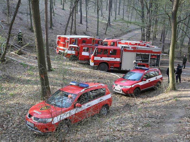 Devět jednotek hasičů likvidovalo požár lesa v brněnské městské části Jundrov.