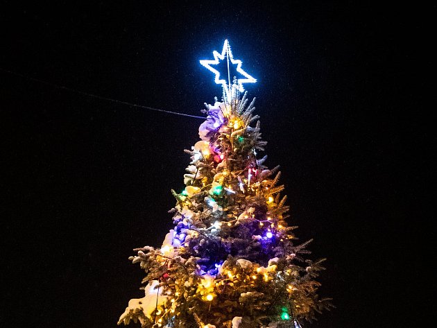 Vyberte nejkrásnější vánoční strom Třebíčska. Hlasujte pro svého favorita