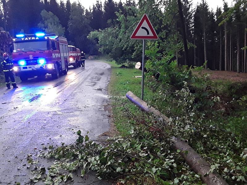 Na jihu Moravy při úterních bouřkách padaly stromy. Některé domácnosti zůstaly bez proudu.