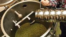 Pivovar Starobrno už tento týden vaří tradiční zelené pivo, aby bylo hotové na velikonoční zelený čtvrtek.