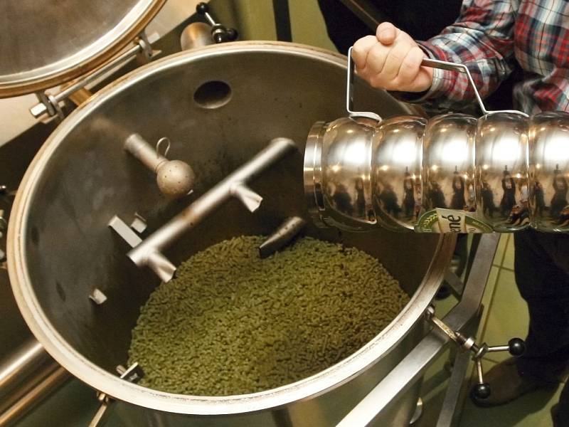 Pivovar Starobrno už tento týden vaří tradiční zelené pivo, aby bylo hotové na velikonoční zelený čtvrtek.